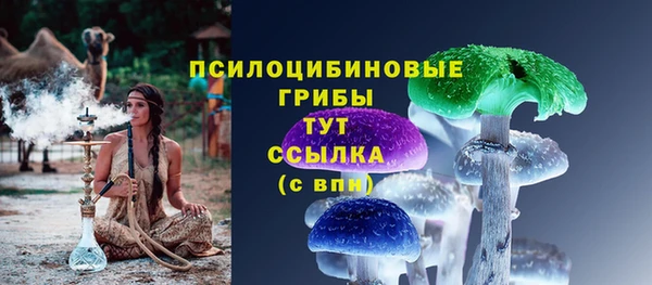 шишки Верхний Тагил